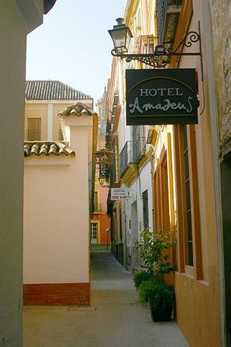 Amadeus Hotel 3*